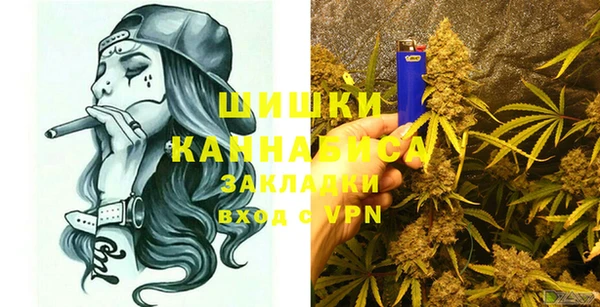 индика Арсеньев