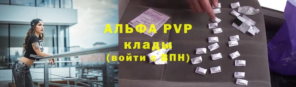 прущие крисы Рославль